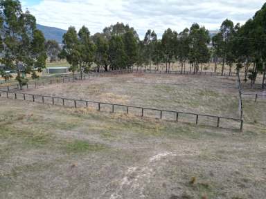 Farm Auction - NSW - Wymah - 2640 - Lifestyle On The Banks Of The Hume Weir  (Image 2)