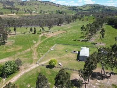 Farm Auction - NSW - Wymah - 2640 - Lifestyle On The Banks Of The Hume Weir  (Image 2)