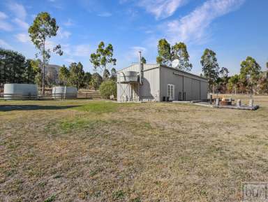 Farm Auction - NSW - Wymah - 2640 - Lifestyle On The Banks Of The Hume Weir  (Image 2)