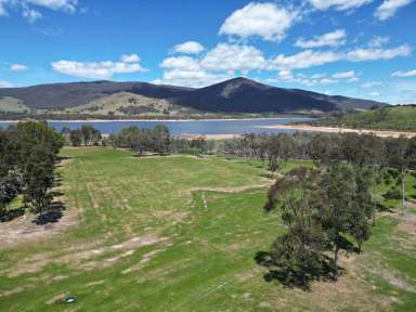 Farm Auction - NSW - Wymah - 2640 - Lifestyle On The Banks Of The Hume Weir  (Image 2)