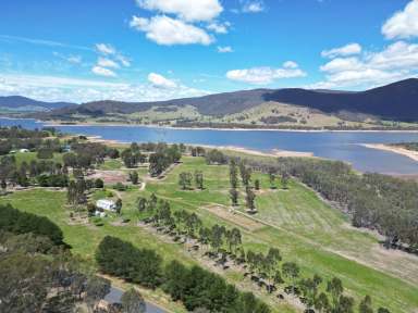 Farm For Sale - NSW - Wymah - 2640 - Lifestyle On The Banks Of The Hume Weir  (Image 2)