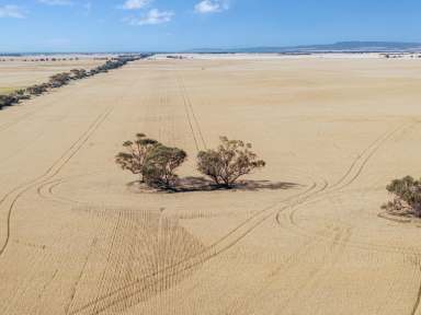 Farm For Sale - SA - Barunga Gap - 5520 - Maximise Your Return on Investment  (Image 2)