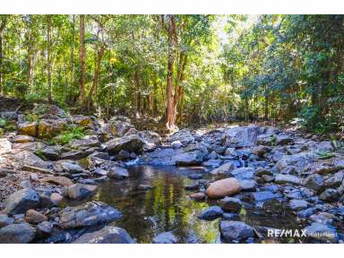 Farm For Sale - QLD - Booroobin - 4552 - Secluded Forest Sanctuary with Future Dream Home Potential  (Image 2)