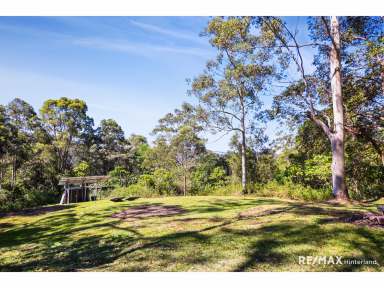 Farm For Sale - QLD - Booroobin - 4552 - Secluded Forest Sanctuary with Future Dream Home Potential  (Image 2)