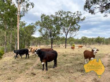 Farm For Sale - QLD - Tellebang - 4630 - A Versatile Investment for Cattle, Cropping, and Hay Production  (Image 2)