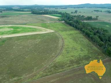 Farm For Sale - QLD - Tellebang - 4630 - A Versatile Investment for Cattle, Cropping, and Hay Production  (Image 2)