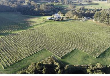1678 Scotsdale Road, Denmark WA 6333