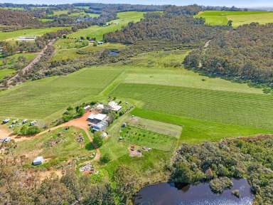 Farm For Sale - WA - Denmark - 6333 - Duckett’s Mill Wines & Denmark Farmhouse Cheese  (Image 2)