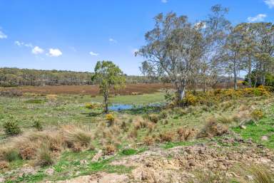 Farm For Sale - TAS - Lemont - 7120 - "Fonthill Run" in the heart of the Southern Midlands  (Image 2)