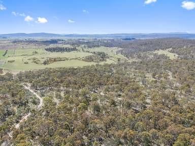 Farm For Sale - TAS - Lemont - 7120 - "Fonthill Run" in the heart of the Southern Midlands  (Image 2)