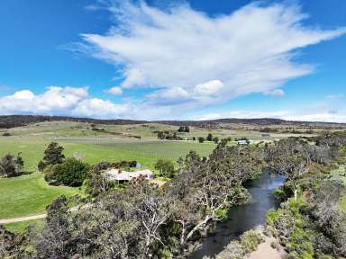 Farm For Sale - TAS - Cranbrook - 7190 - Established East Coast Vineyard - Full of Opportunity - Under Contract  (Image 2)