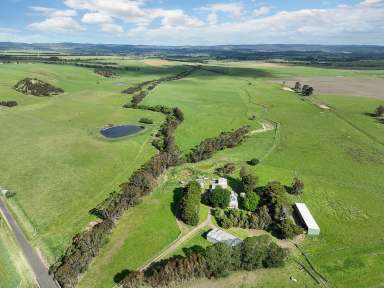 Farm For Sale - VIC - Birregurra - 3242 - BIRREGURRA/ WHOOREL DISTRICT – ‘BARWONDALE’  (Image 2)