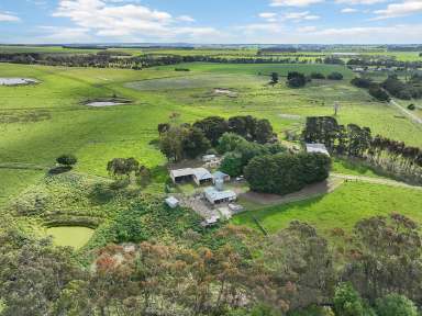 Farm For Sale - VIC - Birregurra - 3242 - BIRREGURRA/ WHOOREL DISTRICT – ‘BARWONDALE’  (Image 2)