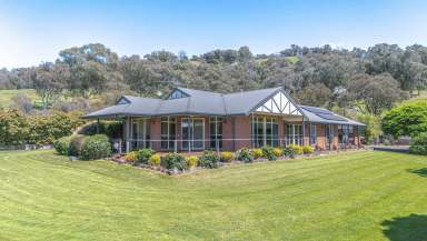 Farm For Sale - VIC - Myrtleford - 3737 - 12 Acre Lifestyle Property  (Image 2)