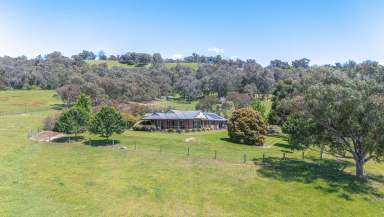 Farm For Sale - VIC - Myrtleford - 3737 - 12 Acre Lifestyle Property  (Image 2)