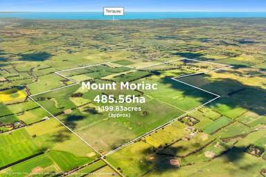 Farm For Sale - VIC - Mount Moriac - 3240 - "Mount Moriac" A Landmark Rural Holding  (Image 2)