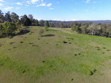 Farm For Sale - NSW - Hogarth Range - 2469 - HOGARTH RANGE - 596 ACRES  (Image 2)