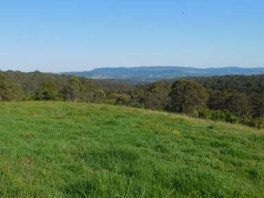 Farm For Sale - NSW - Hogarth Range - 2469 - HOGARTH RANGE - 596 ACRES  (Image 2)