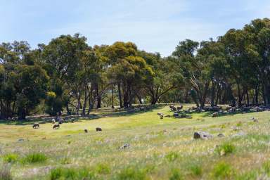 Farm For Sale - VIC - Maldon - 3463 - Fulfil your Dream  (Image 2)