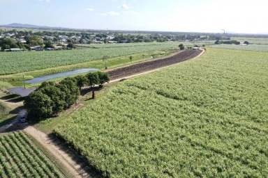 Farm For Sale - QLD - Brandon - 4808 - 363 Acre 14,000 tonne Cane Farm with Secure Irrigation  (Image 2)