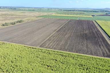 Farm For Sale - QLD - Brandon - 4808 - 363 Acre 14,000 tonne Cane Farm with Secure Irrigation  (Image 2)