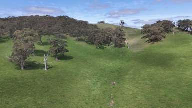 Farm For Sale - SA - Kyeema - 5172 - Adelaide Hills Escape - Kyeema  (Image 2)