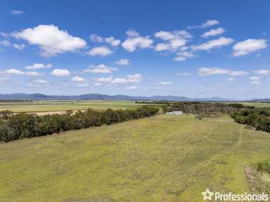 Farm Auction - QLD - Balberra - 4740 - Great Opportunity to Put Your Own Stamp On!  (Image 2)