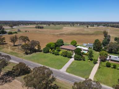 Farm Auction - NSW - Forbes - 2871 - Ray White Forbes - 02 6851 1411  (Image 2)