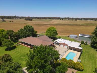 Farm Auction - NSW - Forbes - 2871 - Ray White Forbes - 02 6851 1411  (Image 2)