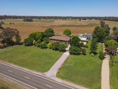 Farm For Sale - NSW - Forbes - 2871 - Ray White Forbes - 02 6851 1411  (Image 2)