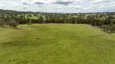 Farm Auction - NSW - Guyra - 2365 - Permanent Water | Secure Rainfall | Renowned Area  (Image 2)