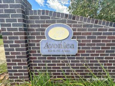 Farm For Sale - NSW - Inverell - 2360 - AVONLEA - A STUNNING RETREAT  (Image 2)