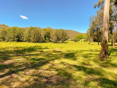 Farm For Sale - NSW - Batar Creek - 2439 - "One In A Million"  (Image 2)