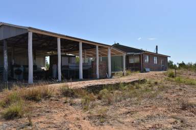 Farm For Sale - NSW - Rocky Glen - 2357 - Ideal Getaway, with shed and bush kitchen  (Image 2)