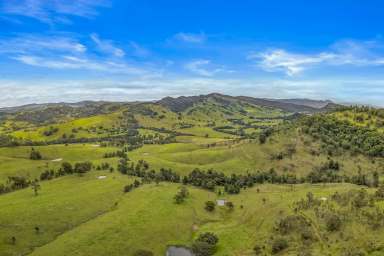 Farm For Sale - NSW - Singleton - 2330 - 94 Acres* (38Ha) at Mt Olive With Dwelling Entitlement & Creek Frontage  (Image 2)