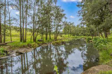 Farm For Sale - NSW - Singleton - 2330 - 94 Acres* (38Ha) at Mt Olive With Dwelling Entitlement & Creek Frontage  (Image 2)