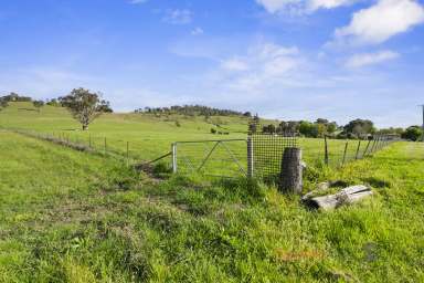 Farm Auction - VIC - Towong - 3707 - Prime Rural Living Block  (Image 2)