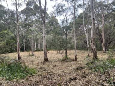 Farm For Sale - WA - North Walpole - 6398 - Discover 24 Acres of Paradise  (Image 2)