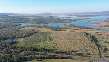 Farm Auction - QLD - Coominya - 4311 - Unique Wivenhoe Dam Opportunity - 96ML Water Allocation  (Image 2)