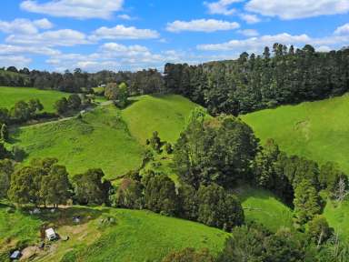 Farm For Sale - VIC - Yarragon - 3823 - Stunning Views with ultimate privacy  (Image 2)