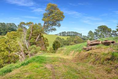 Farm For Sale - VIC - Yarragon - 3823 - Stunning Views with ultimate privacy  (Image 2)