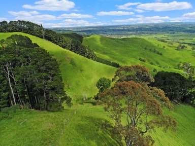 Farm For Sale - VIC - Yarragon - 3823 - Stunning Views with ultimate privacy  (Image 2)