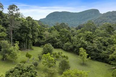 Farm For Sale - NSW - Upper Crystal Creek - 2484 - ONCE IN A LIFETIME OPPORTUNITY; NATURE AT IT'S FINEST  (Image 2)