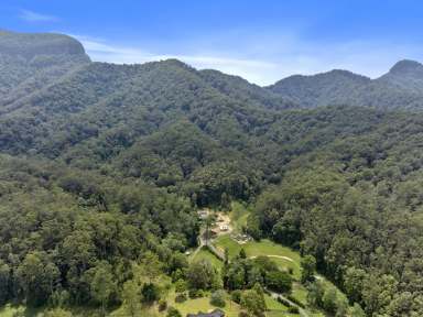 Farm For Sale - NSW - Upper Crystal Creek - 2484 - ONCE IN A LIFETIME OPPORTUNITY; NATURE AT IT'S FINEST  (Image 2)