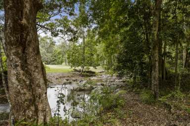 Farm For Sale - NSW - Upper Crystal Creek - 2484 - ONCE IN A LIFETIME OPPORTUNITY; NATURE AT IT'S FINEST  (Image 2)