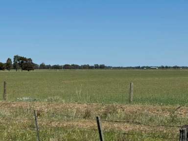 Farm For Sale - VIC - Kotta - 3565 - 318-acre Rural Property with Endless Potential  (Image 2)