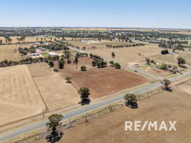 Farm For Sale - NSW - Lockhart - 2656 - SMALL ACREAGE, PACKED WITH LIFESTYLE ADVANTAGES  (Image 2)