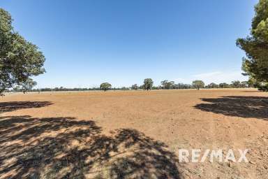 Farm For Sale - NSW - Lockhart - 2656 - SMALL ACREAGE, PACKED WITH LIFESTYLE ADVANTAGES  (Image 2)