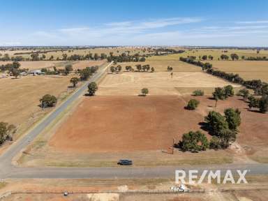 Farm For Sale - NSW - Lockhart - 2656 - SMALL ACREAGE, PACKED WITH LIFESTYLE ADVANTAGES  (Image 2)