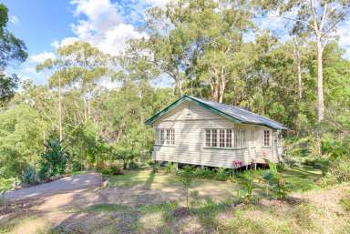 Farm For Sale - QLD - Verrierdale - 4562 - Charming Cottage in an ideal location  (Image 2)